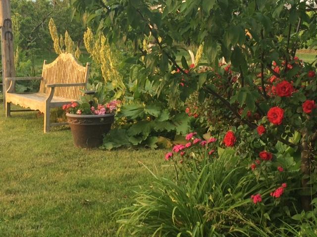 לינה וארוחת בוקר ג'ורדן The Orchard Croft Boutique Country Retreat מראה חיצוני תמונה